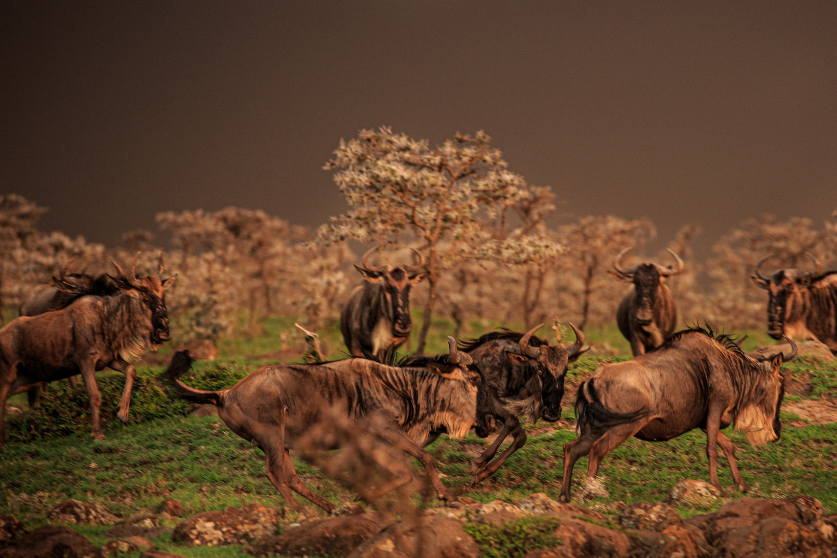 Journeys_Africa-200