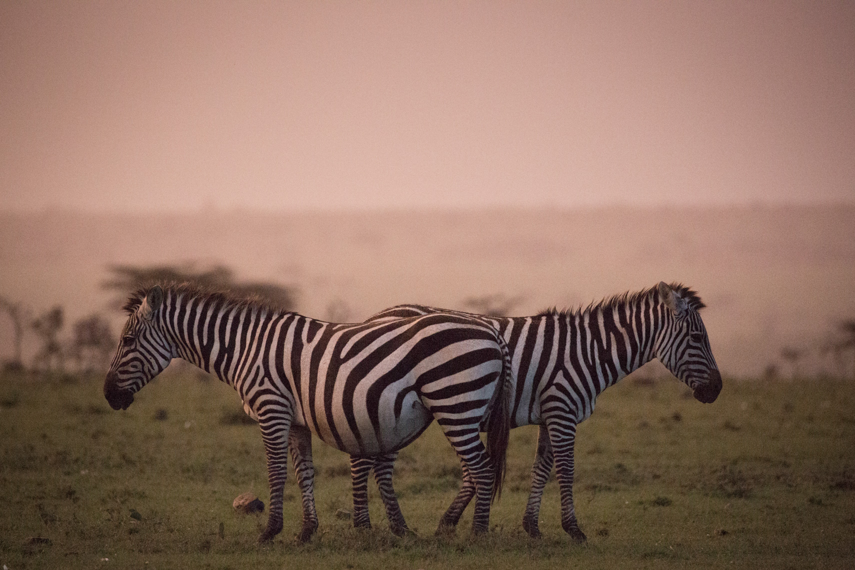 LornaC_Africa-6